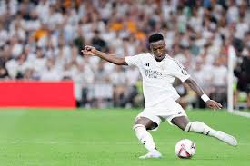 提供了一个 提供了一个